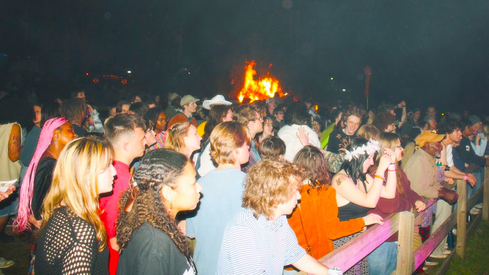Festival Image 8