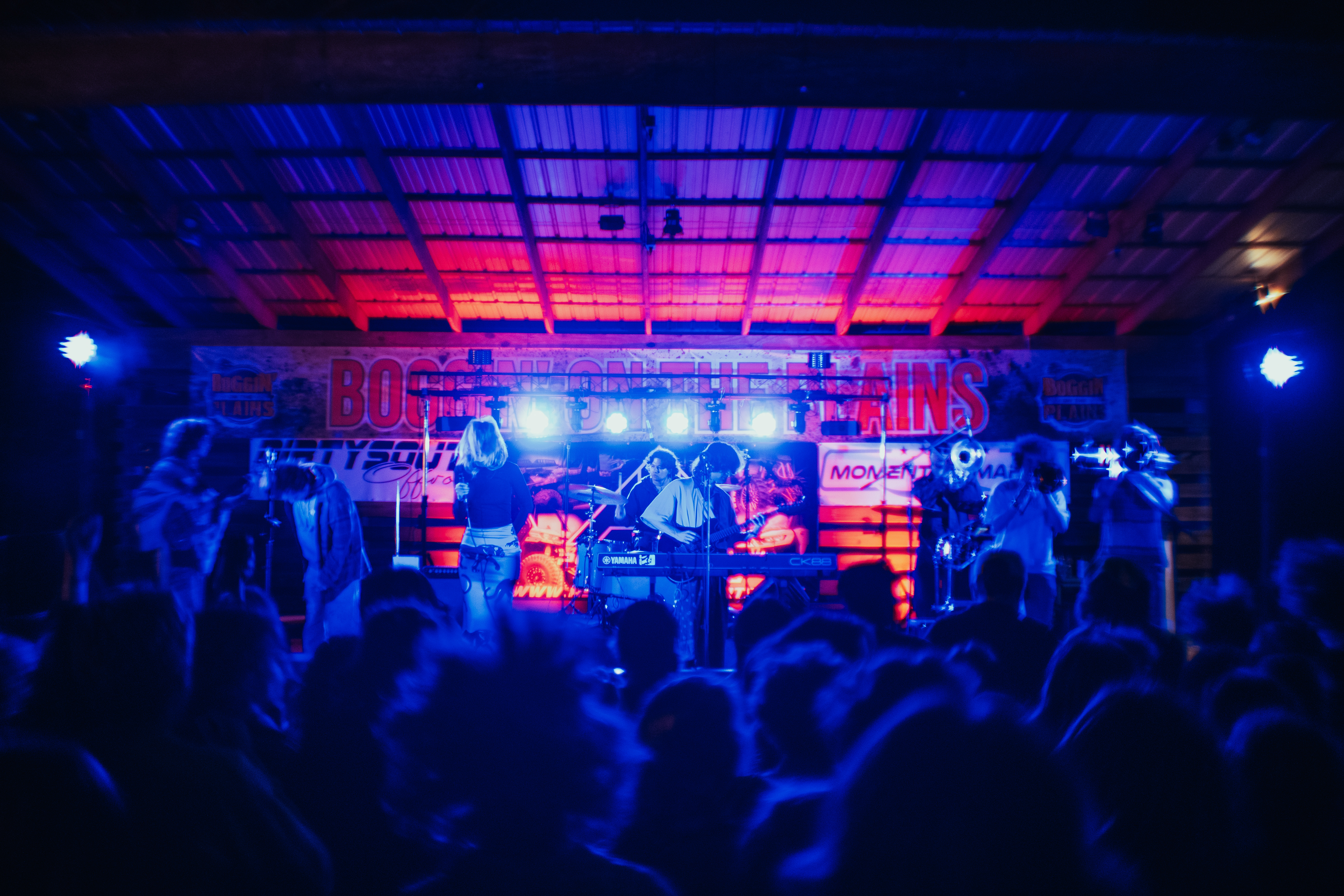 Festival Image 1