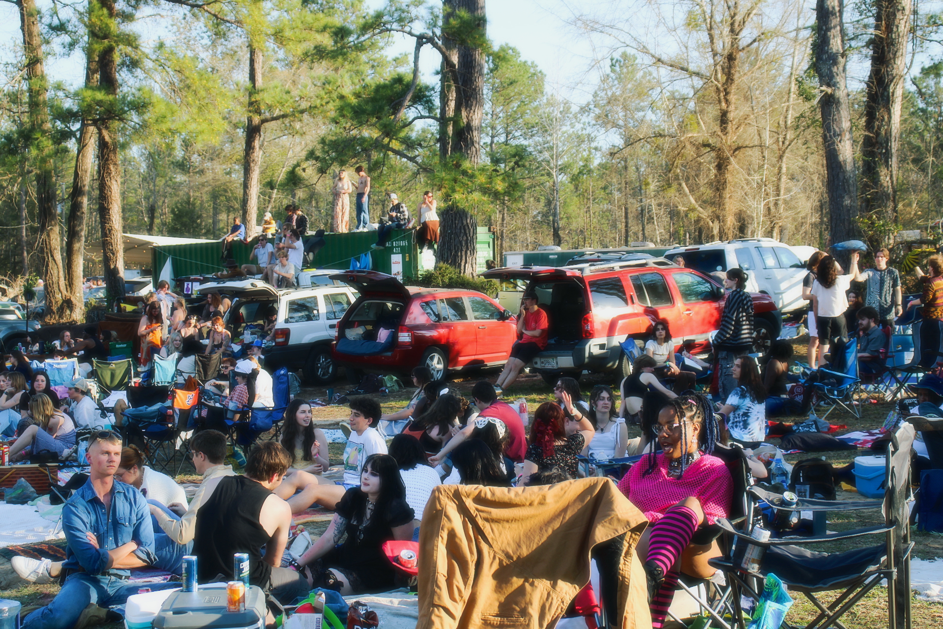 Festival Image 2