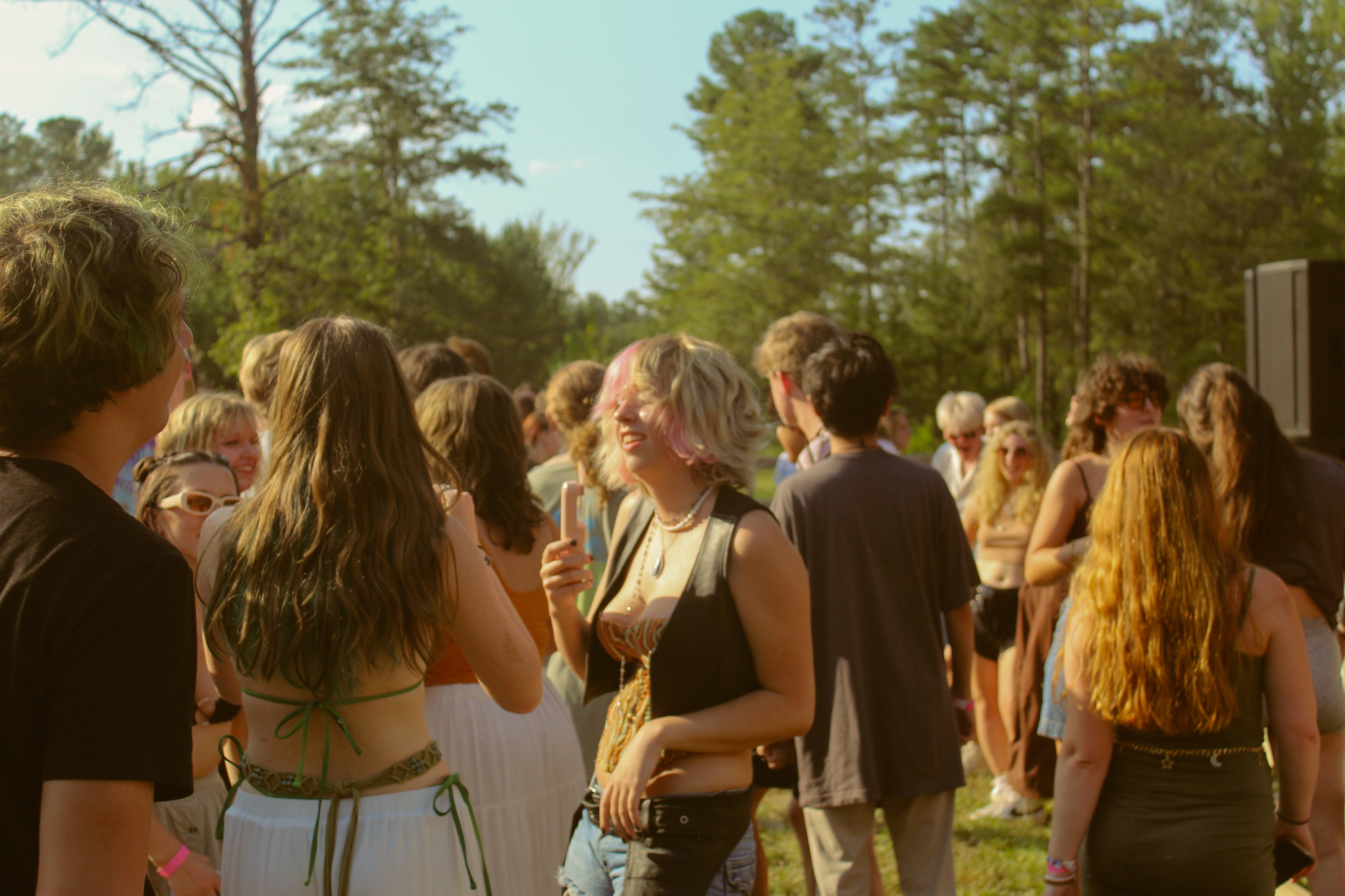 Festival Image 9